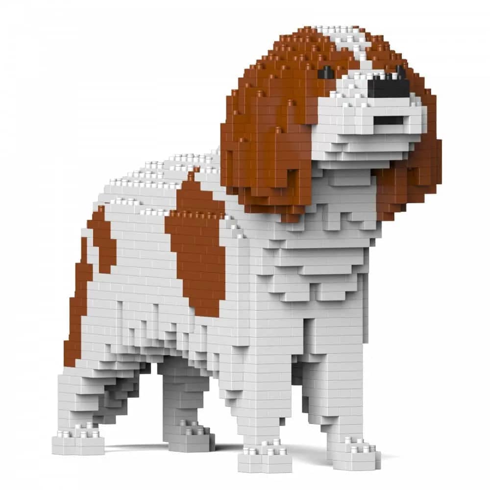 Cavalier King Charles - Kit de Briques à Construire | Brique Mon Pote