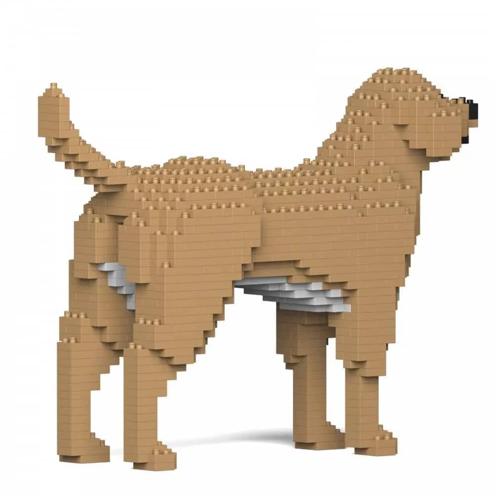 Labrador Retriever - Kit de Briques à Construire | Brique Mon Pote