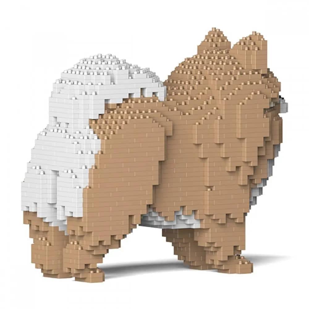 Spitz Nain (Poméranien) - Kit de Briques à Construire | Brique Mon Pote