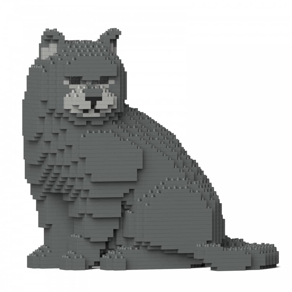 British Shorthair - Kit de Briques à Construire | Brique Mon Pote