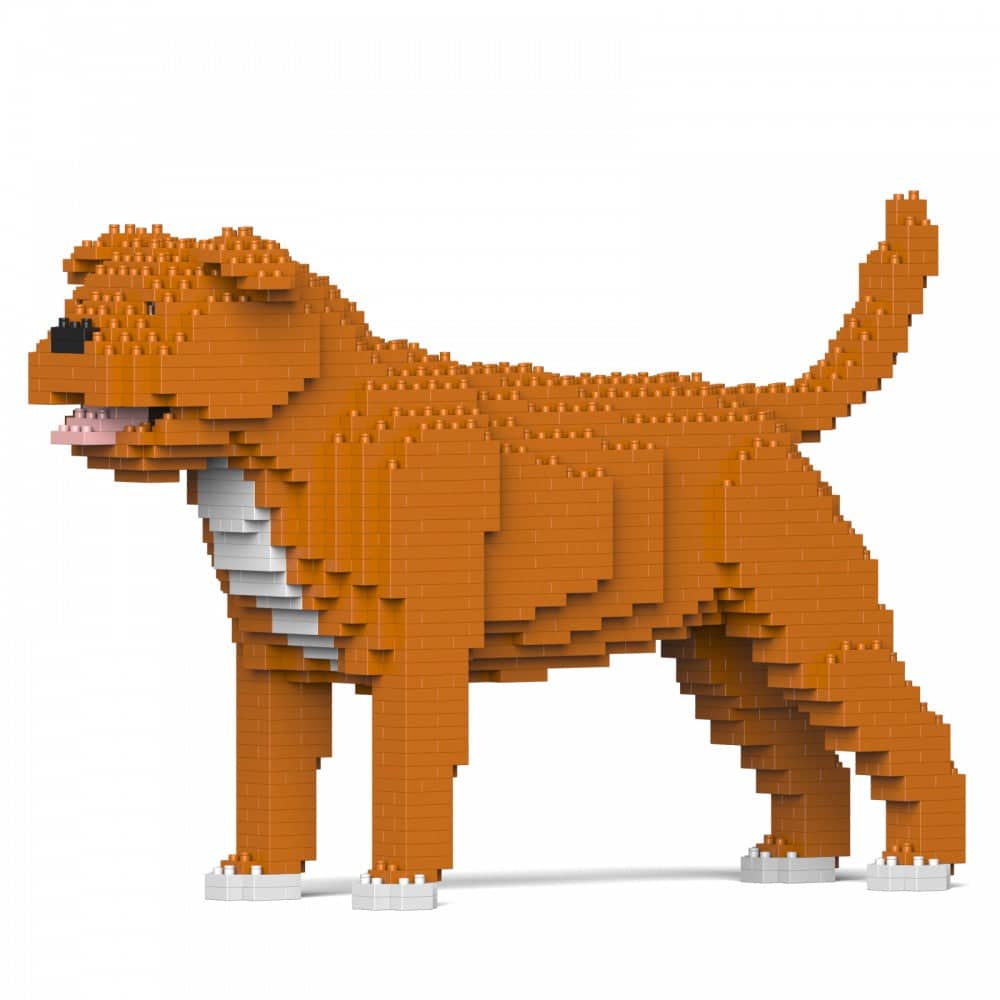 Staffordshire Bull Terrier - Kit de Briques à Construire | Brique Mon Pote